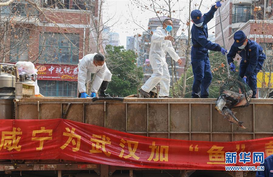 （新華全媒頭條·圖文互動）（12）從人民中汲取磅礴力量——習(xí)近平總書記同出席2020年全國兩會人大代表、政協(xié)委員共商國是紀(jì)實